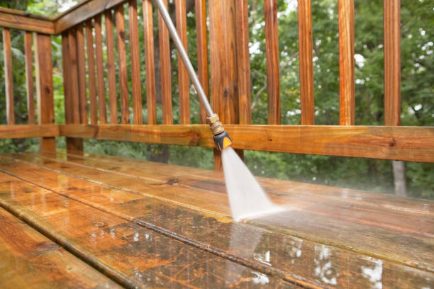 Reliable Escobares, TX Pressure Washing Solutions